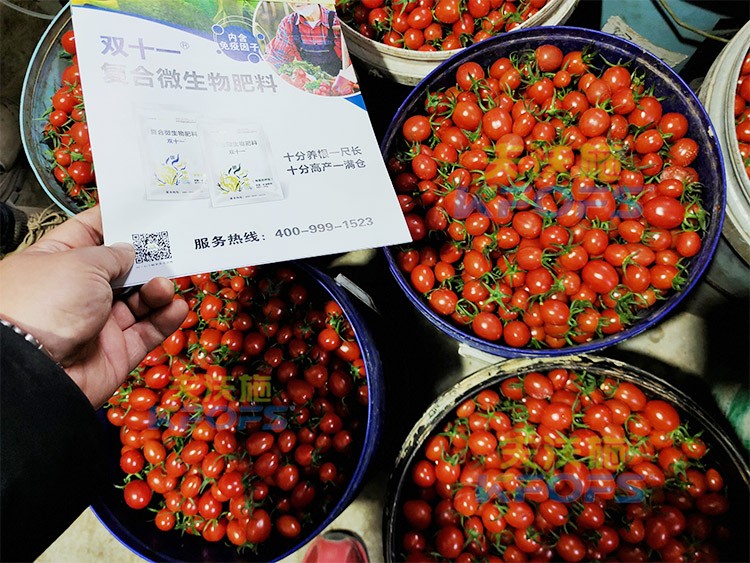 夫沃施進(jìn)口肥怎么樣？