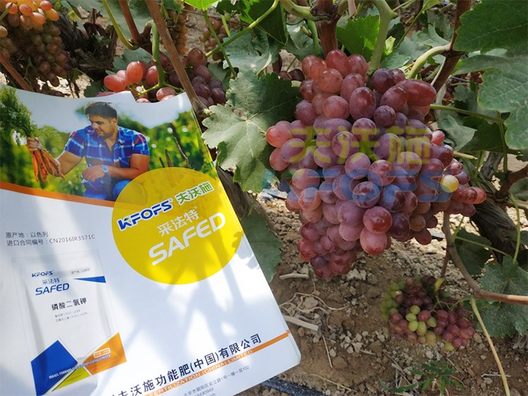 磷酸二氫鉀為什么都說(shuō)粉劑的好？