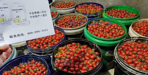 夫沃施進口肥怎么樣？
