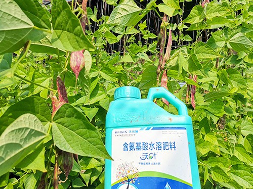 進(jìn)口水溶肥，懂行的人都這么選！