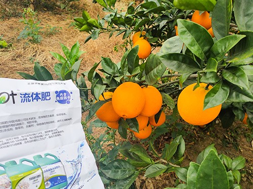 好的水溶肥是什么生產(chǎn)工藝？