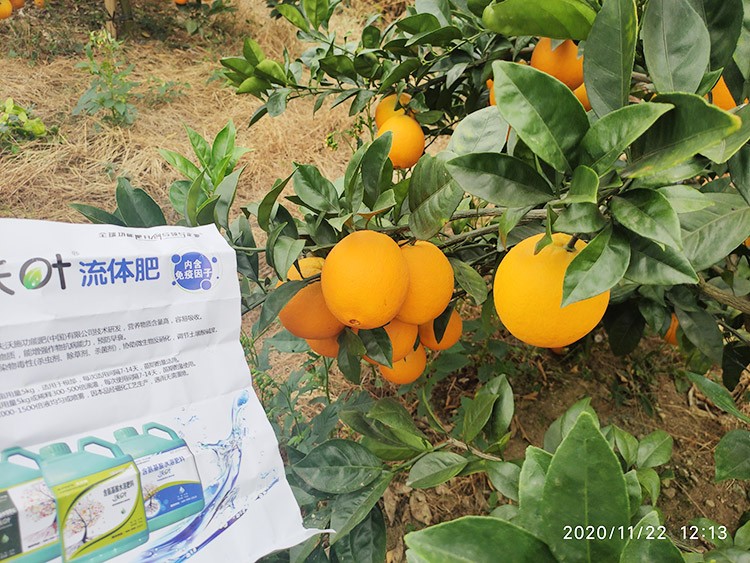好的水溶肥是什么生產(chǎn)工藝？