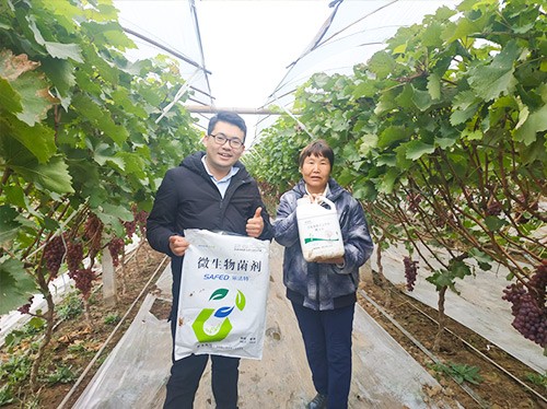 水溶肥廠家夫沃施都說好？好在哪？