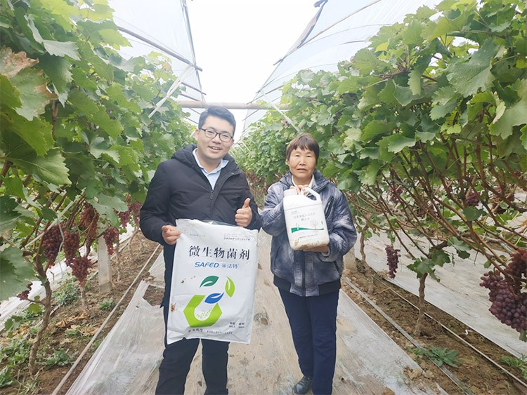 水溶肥廠家夫沃施都說好？好在哪？