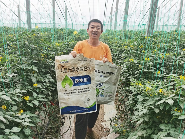 水溶肥廠家夫沃施都說好？好在哪？