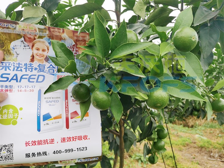 進口水溶肥怎么選？參考這三點就夠了！