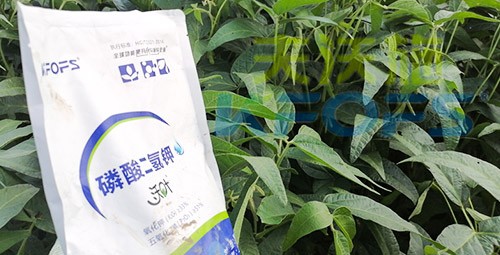 進(jìn)口磷酸二氫鉀不得不了解的一個(gè)品牌！