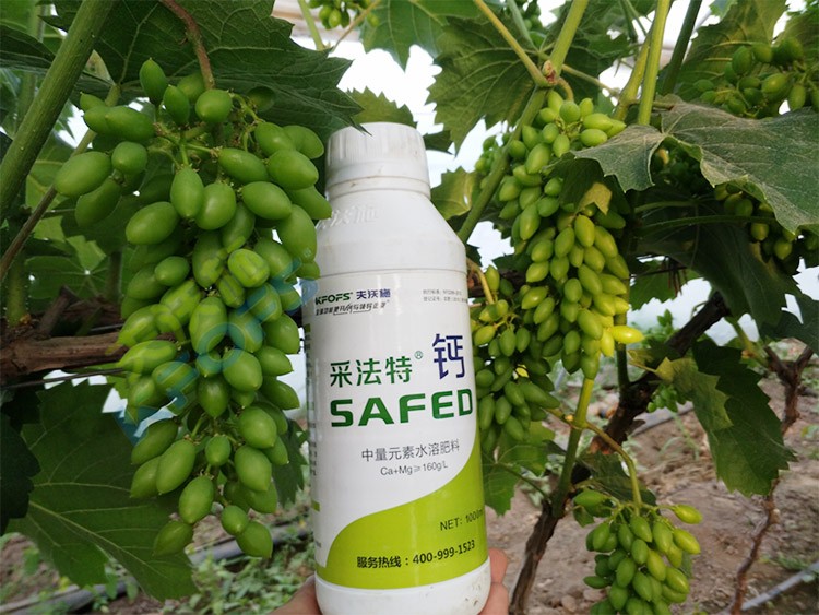 鈣肥什么品牌的比較好？