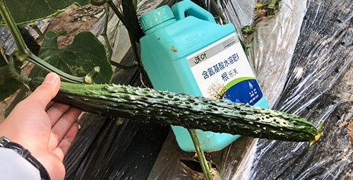 生根劑要安全不傷根，就選這個(gè)牌子！