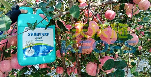 沖施肥怎么去沖施？什么牌子的好？