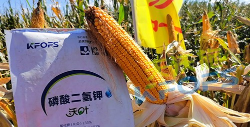進(jìn)口磷酸二氫鉀哪個品牌好？