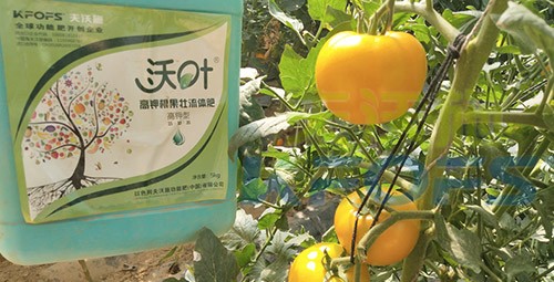 水溶肥的作用，不得不說太強(qiáng)大了！
