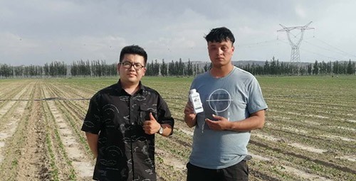 藥害還能恢復(fù)生長嗎？這篇告訴你！
