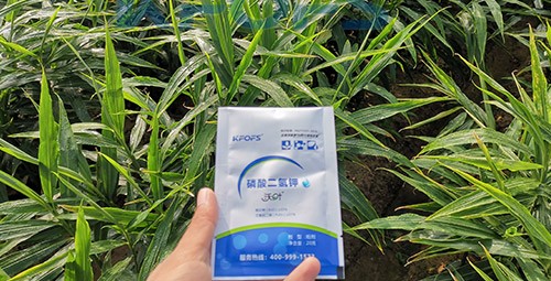 磷酸二氫鉀選這個品牌，不會錯！