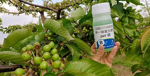 硼肥哪個(gè)品牌的好？這款不要錯(cuò)過！