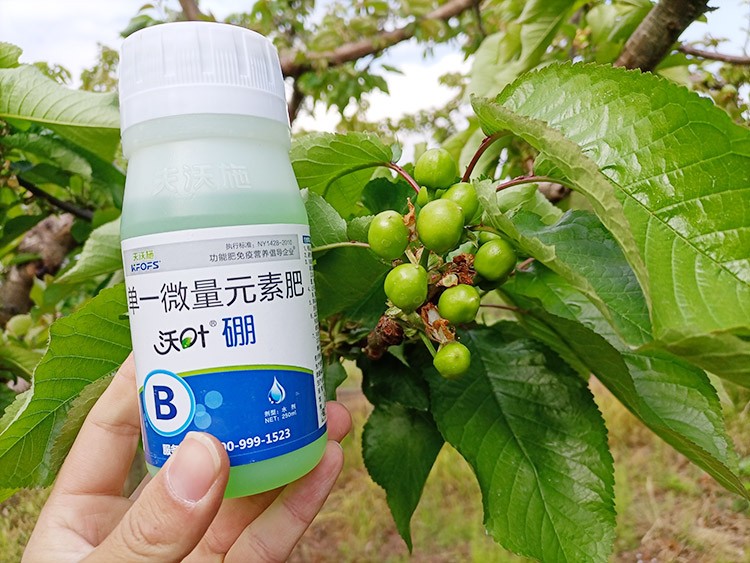 硼肥哪個(gè)品牌的好？這款不要錯(cuò)過！