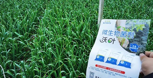 微生物菌劑選它，放心又舒心！