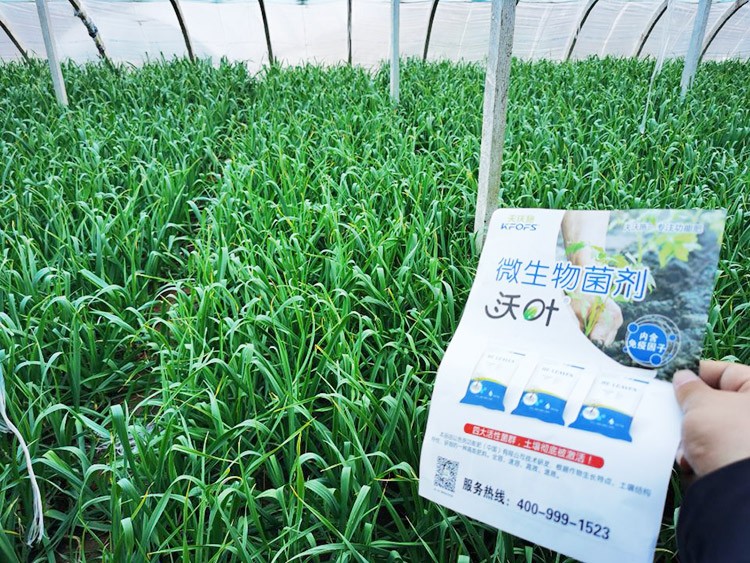 微生物菌劑選它，放心又舒心！