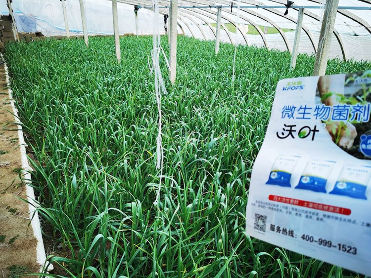微生物菌劑選它，放心又舒心！