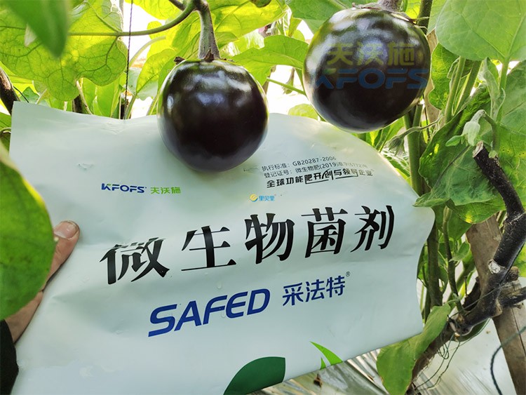 進口水溶肥蔬菜上怎么用效果好？
