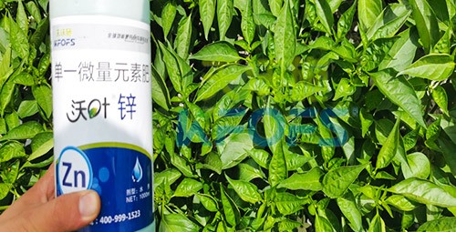 鋅肥是什么肥料？辣椒用有什么好處？