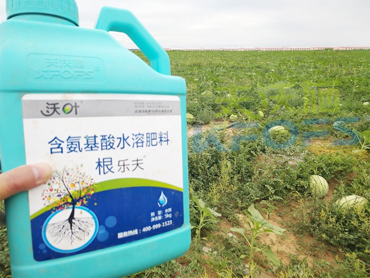 西瓜用什么進(jìn)口水溶肥好？
