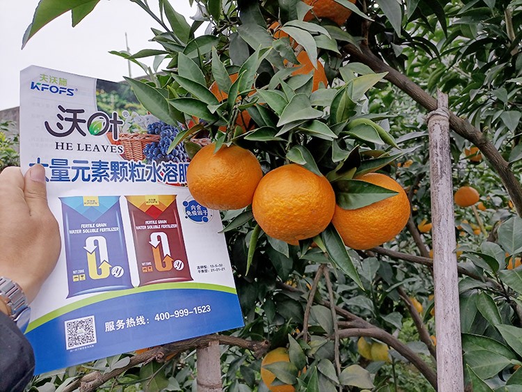 果樹水溶肥什么牌子好？