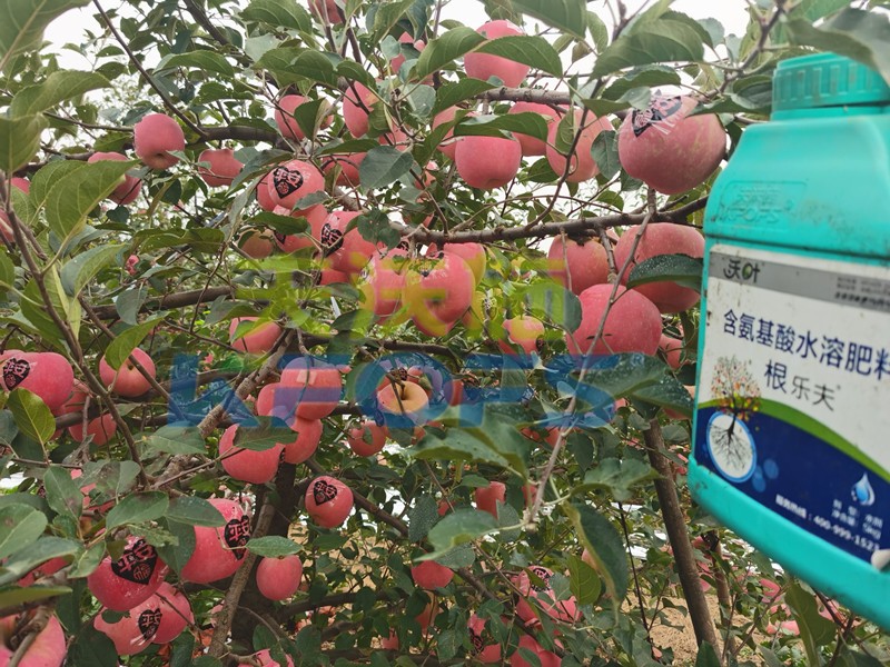 不要只關(guān)注水溶肥一袋多少錢，還有更重要的！