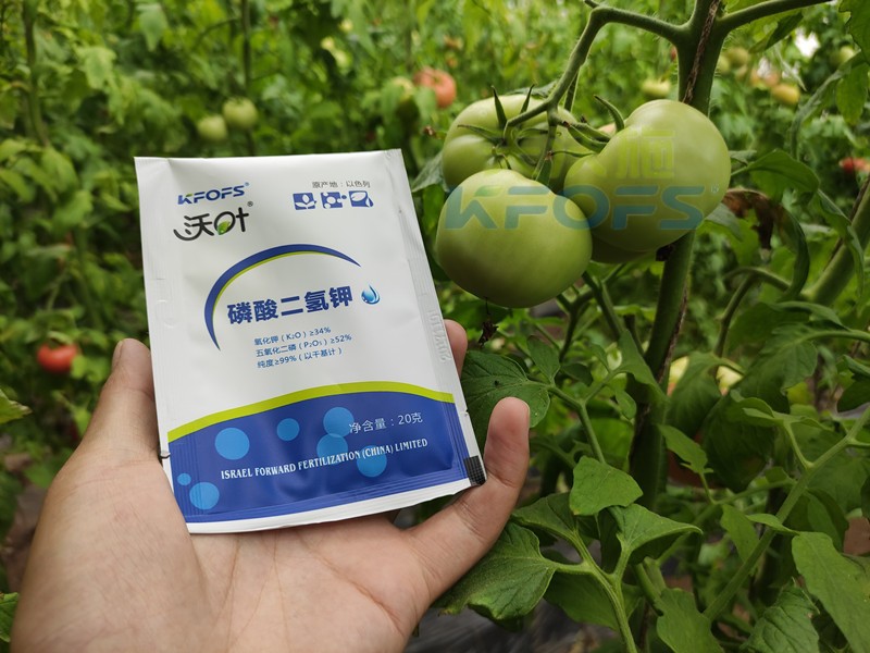 葉面肥磷酸二氫鉀，竟然這么好用！