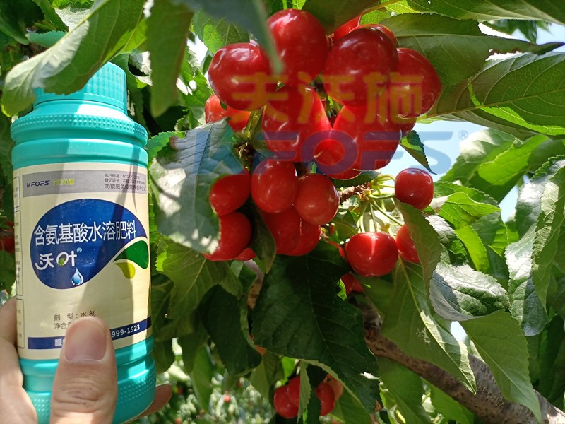 這款水溶肥，種植戶都愿意長期使用！