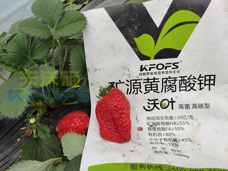 礦源黃腐酸鉀應(yīng)該怎么用？對(duì)于什么土地有效？