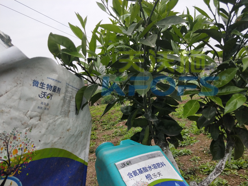 春季果樹(shù)用什么肥料好？看看您用對(duì)了嗎？