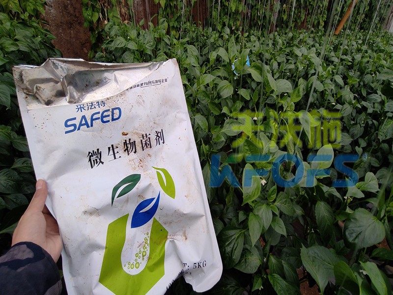 微生物菌劑，你不知道的秘密在這里！