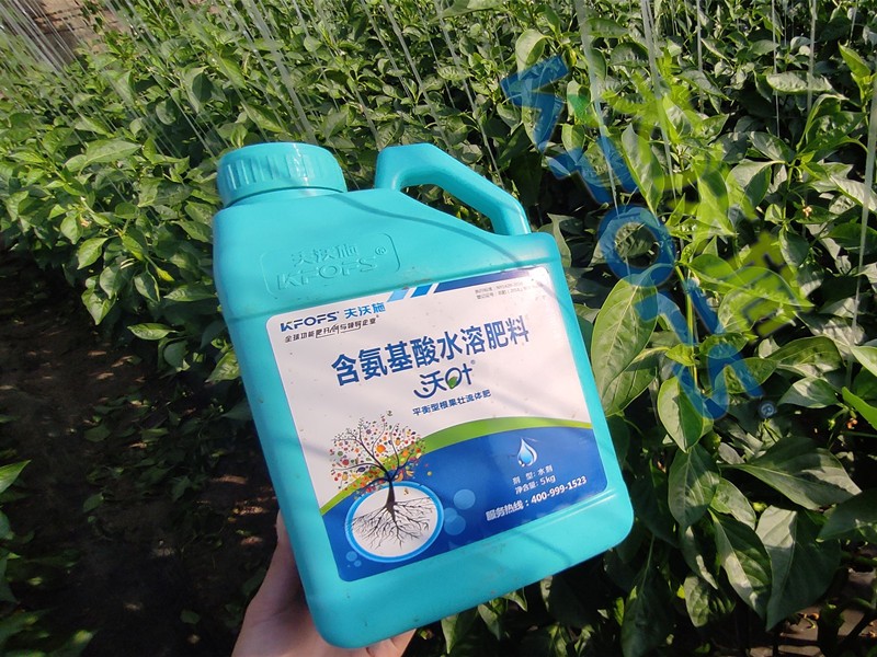 水溶肥與沖施肥有什么區(qū)別？
