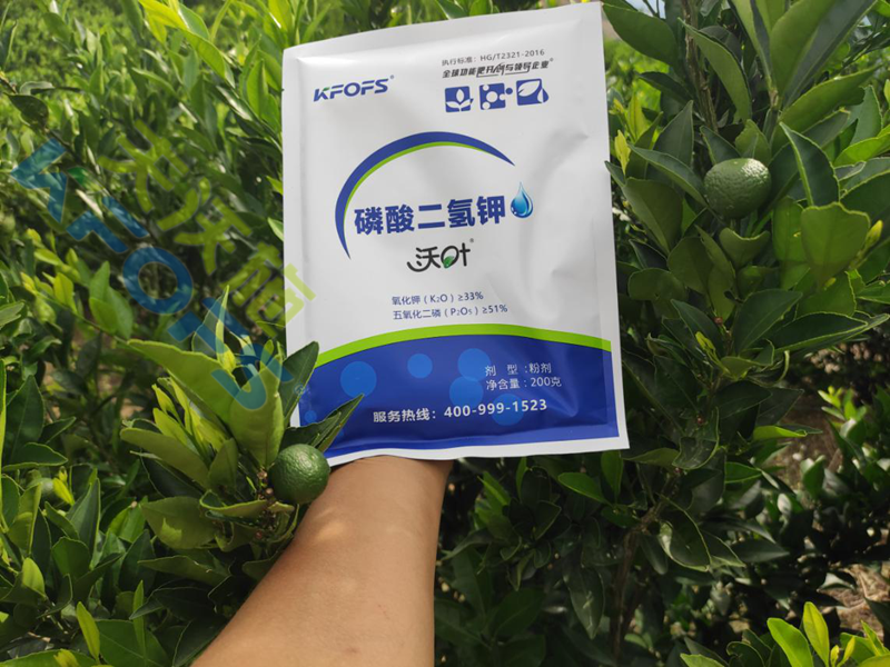 葉面肥哪家好？使用后有什么不一樣？