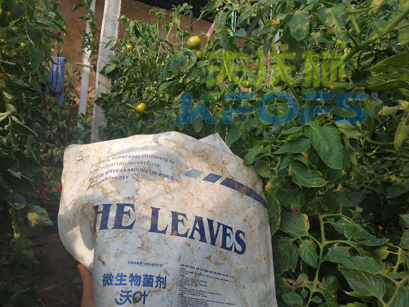 微生物菌劑哪家好？少走彎路不上當