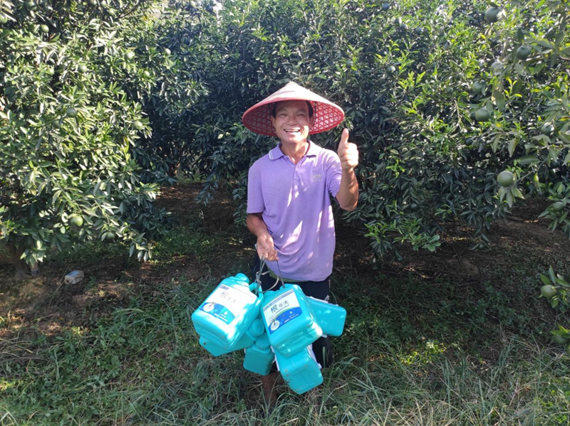 柑橘黃化的原因及解決方法，不要錯(cuò)過！
