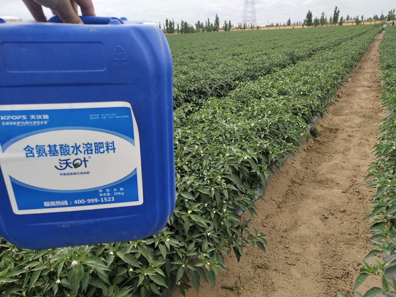 沖施肥的施用技巧有哪些？