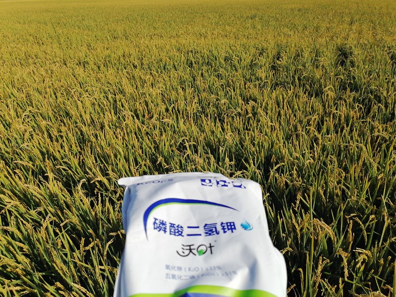 三分鐘看懂磷酸二氫鉀哪個品牌好！