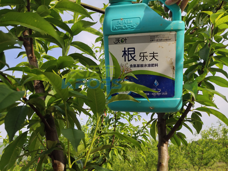 水溶肥-桃樹(shù)用沃葉根樂(lè)夫生根劑1.png