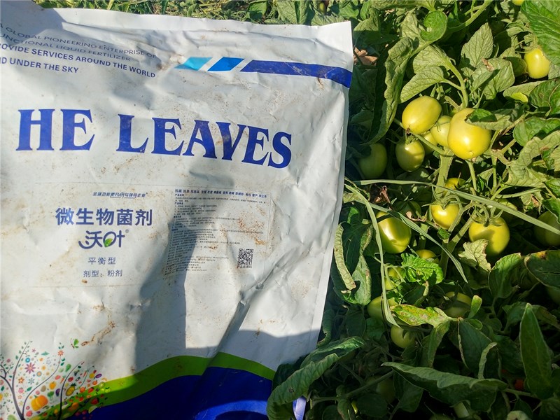 微生物菌劑價(jià)格差別為啥這么大？