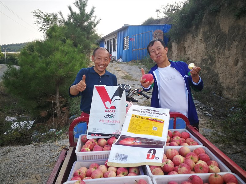 水溶肥如何選擇，果樹應(yīng)該使用什么類型？
