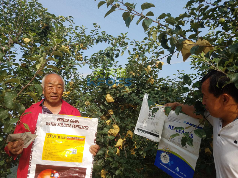 生物菌肥哪種好-沃葉水溶肥蘋(píng)果1.png