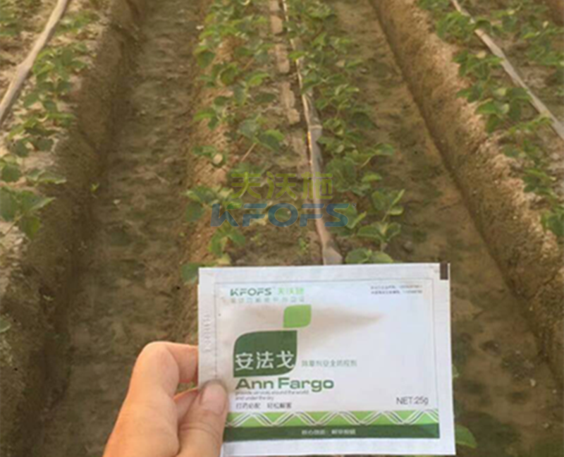 除草劑厲害是哪種？1.png