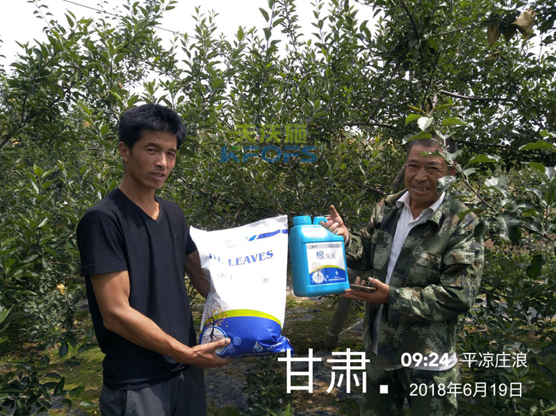 蘋果怎么施肥？