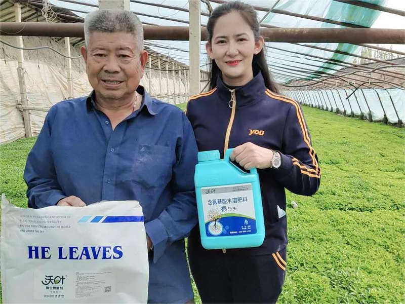 辣椒苗期施肥管理，掌握這項技術(shù)