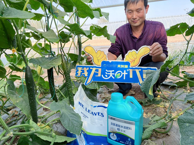 微生物菌劑越來(lái)越受歡迎的原因有哪些？