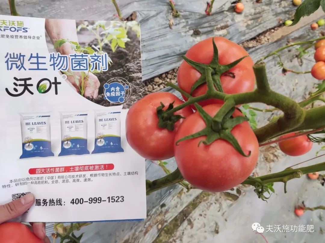 微生物菌劑選哪家？