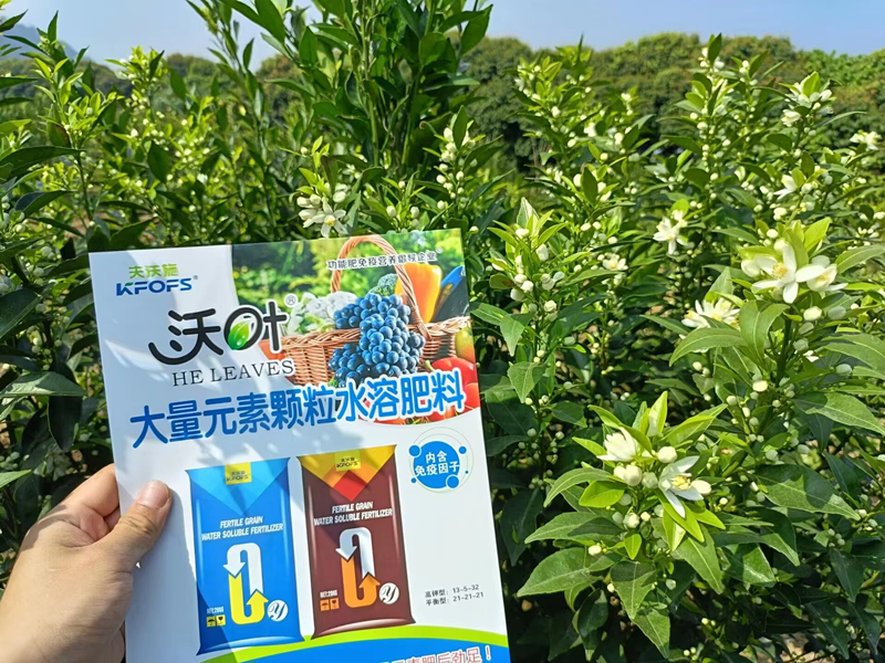 沃柑用什么效果好？夫沃施案例