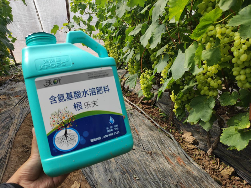 水溶肥選擇，要注意什么?
